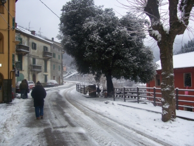  Image name: molino capodanno  2009 303 (125).jpg 
 width: 400 pixel 
 height: 301 pixel 
 Size: 115373 bytes 
 Click to enlarge 